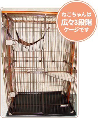 room01